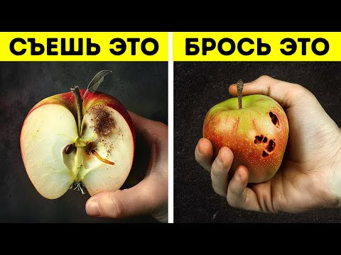 Видео: 75 фактов, которые заставят вас захотеть большего