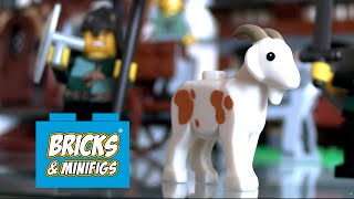 Crazy Valuable LEGO Goat! Top 5 Sets at Bricks & Minifigs in Portland by Beyond the Brick 5,936 views 3 weeks ago 18 minutes