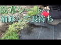 防草シートを補修して長持ちさせる