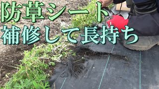 防草シートを補修して長持ちさせる