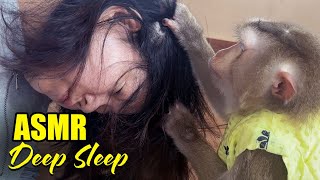 ASMR Monkey Head Spa | No Talking, Just Pure Triggers For DEEP SLEEP