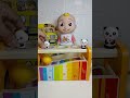 Cute &amp; Fun Pound a Ball with Panda