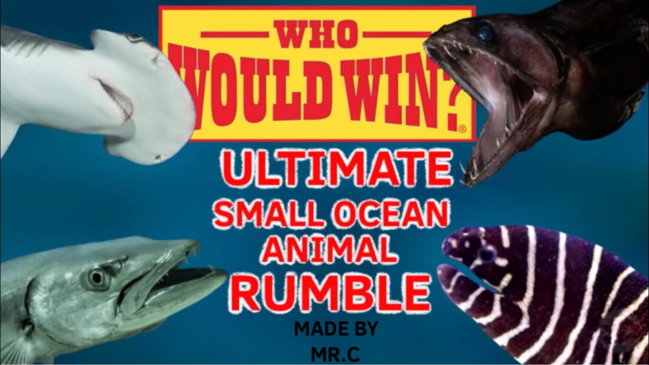 WHO WOULD WIN? - ULTIMATE SMALL OCEAN ANIMAL RUMBLE (fanmade)