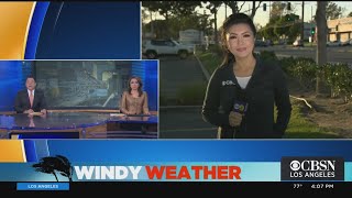 Santa Ana Winds Return For Thanksgiving; Thousands Across Southland At Risk Of Power Shutoffs