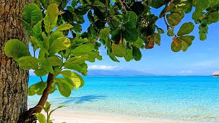 Blissful Blue Hues of Tahiti From Moorea