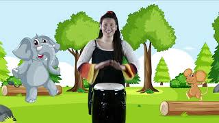 müzik etkinliği yavaş hızlı kavramı