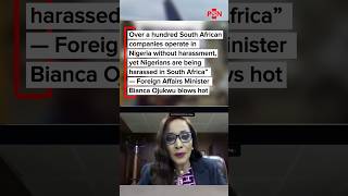 Foreign Affairs Minister Bianca Ojukwu blows hot over xenophobic attacks against Nigerians in S.A.