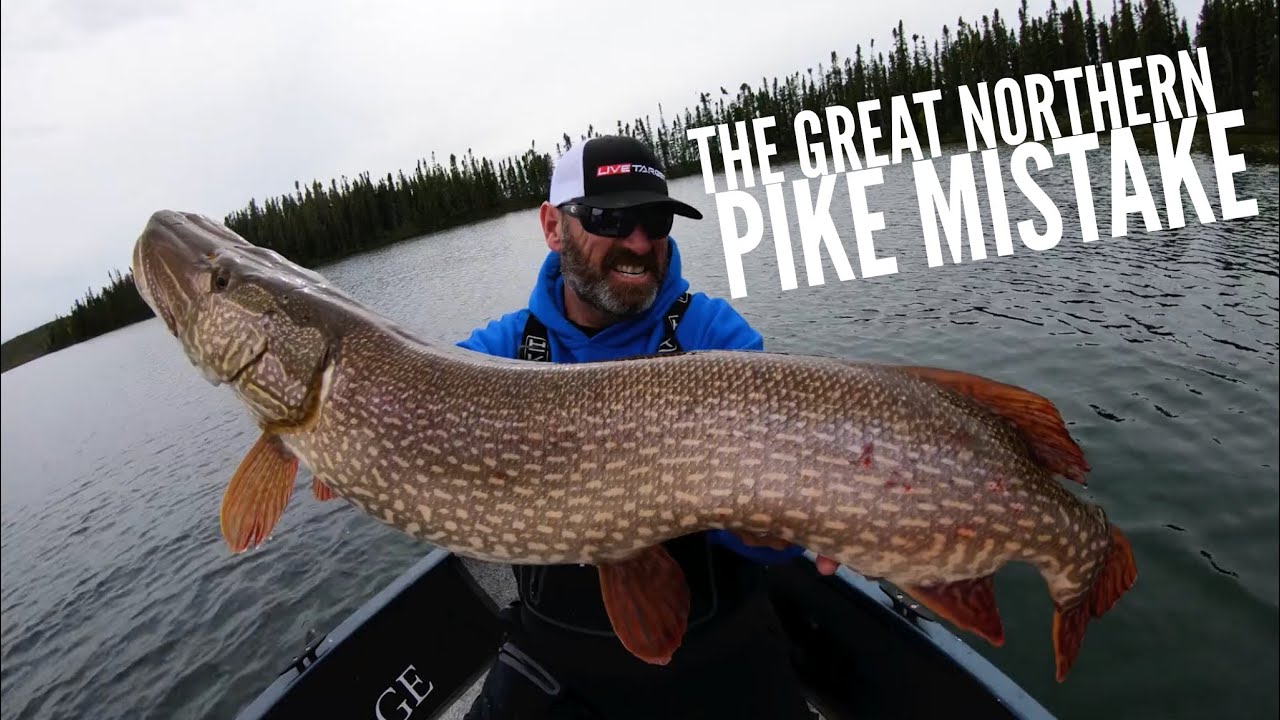 THE GREAT NORTHERN PIKE MISTAKE Dave Mercer's Facts of Fishing THE THE GREAT NORTHERN PIKE MISTAKE Dave Mercer's Facts of Fishing THE