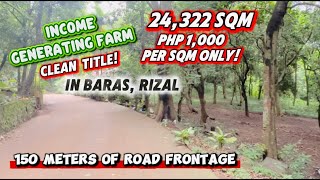 Property Farm For Sale In Baras Rizal Clean Les Along 2 Lane Road