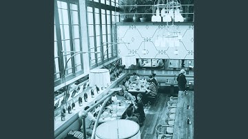 Exquisite Ambiance for Cool Spaces