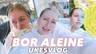 HVORDAN DET ER Å BO ALEINE SOM 19 ÅRING *ukesvlog*