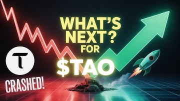 Bittensor $TAO After the Crash – Recovery Ahead!? 🚀