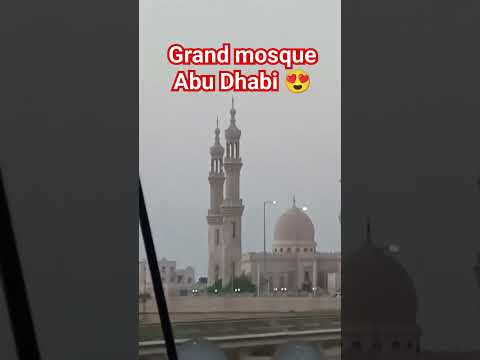 Grand Mosque Abu Dhabi || Dubai to Abu Dhabi || #viral #trending #shortvideo #trend #youtubeshorts