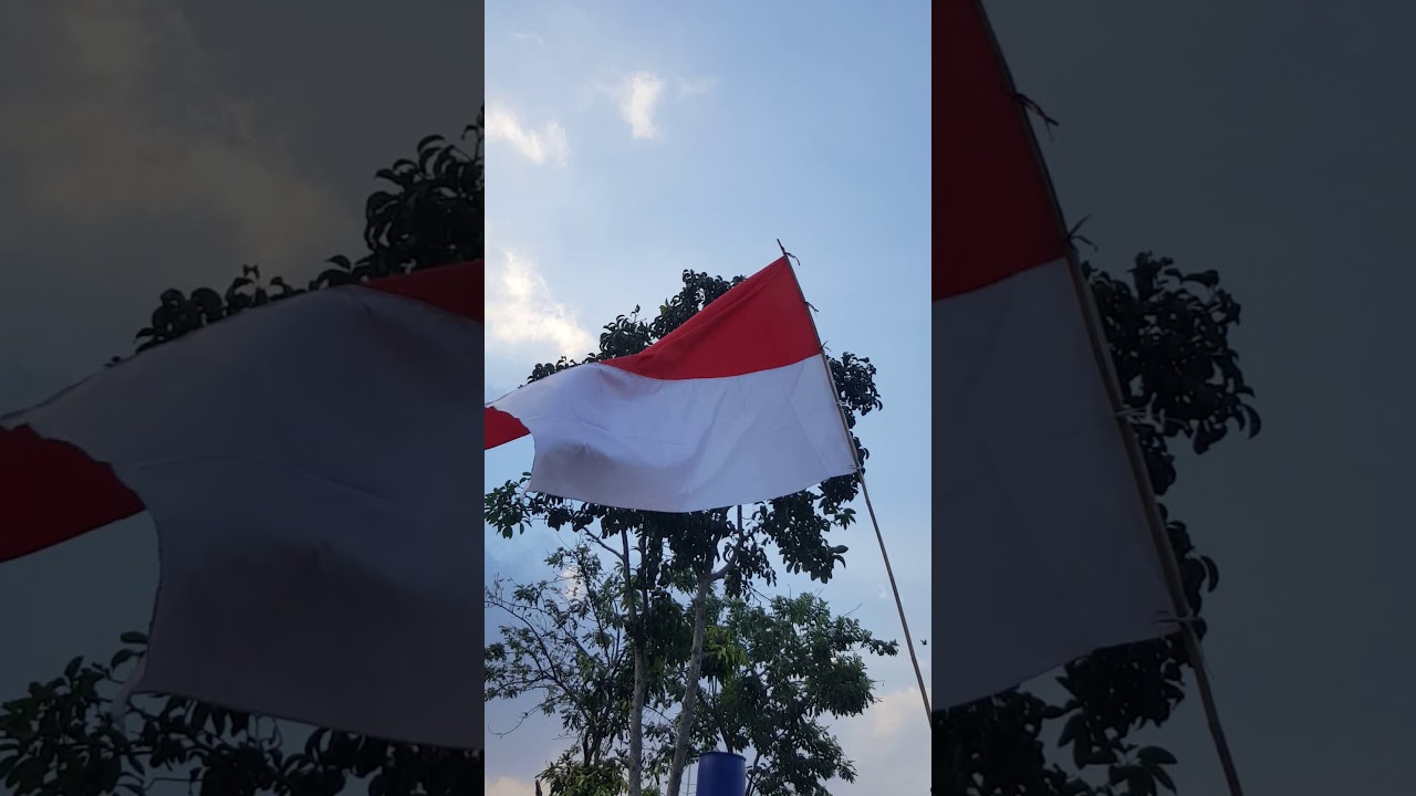 Jual bendera merah putih ukuran 120x180cm YouTube