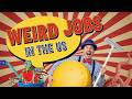 20 WEIRD Jobs in the U.S. You Had No Idea Actually Exist!