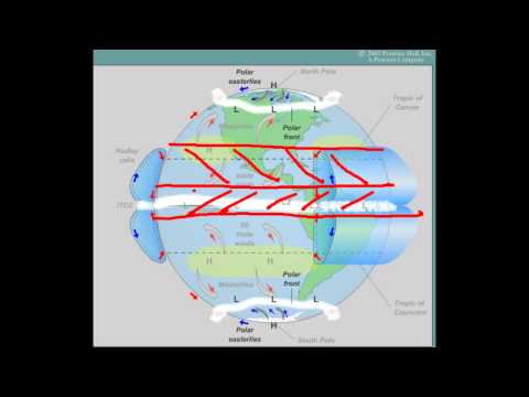 Video: Vejr og klima i Østeuropa