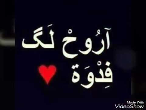 احبكي وحب بجنون يا زوزو يا عشقي يا اميرتي