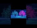 Never back again — song about broken love (excerpt)