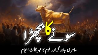 Who Was Samiri? ||Story Of  Golden Calf || Samri Jadugar Ka Waqia || Hazrat Musa AS || INFO at ADIL