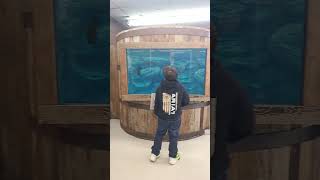 Famous granddaddy of all bass pro shops Net Worth