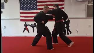 Hapkido Basic Punch Defense