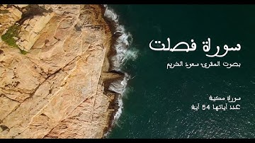 سورة فصلت بصوت المقرئ سعود الشريم بدون إعلانات - Sourat Fossilat no Ads