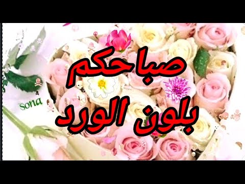 صباح الخير دعاء صباحي جميل صباحكم بلون الورد حالات وأتس دينية مقاطع انستغرام ستوريات صباح الخير