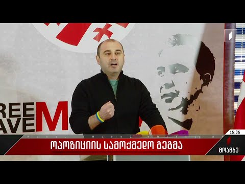 ოპოზიციის გეგმები