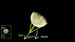What the moon looks like from right below it  w/challenge to Spotted Sharks (he never produced)
