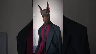 handsome dog with tie wearing