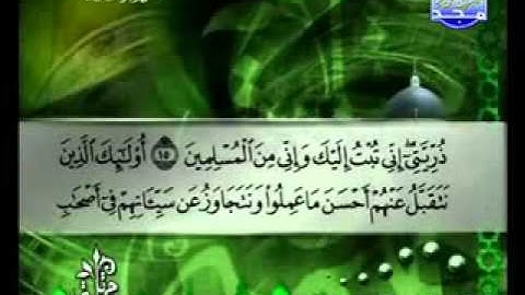 سورة الاحقاف الشيخ توفيق الصائغ