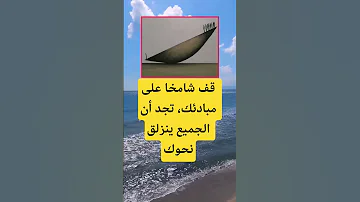 قف شامخا على مبادئك تجد أن الجميع ينزلق نحوك اكسبلور اقنباسات الله تيك توك ترند 100 لايك 