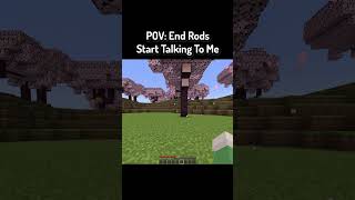Pov End Rods Start Talking To Me In Minecraft