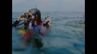 Open Water (2003) (Castellano)