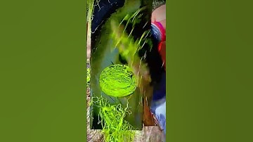 cool traditional tool for slicing leaves thinly #shorts