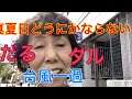 台風一夜明けてみると猛暑日