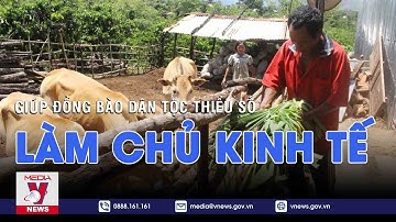 Giúp đồng bào dân tộc thiểu số làm chủ kinh tế - VNEWS