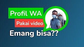 Profil WA bisa pakai video | apa benar?