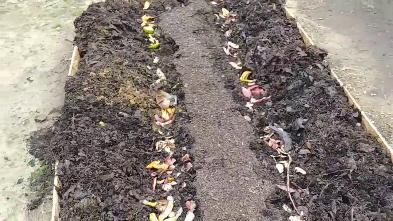 How to Prepare Raised Beds to Draw in Earthworms YouTube
