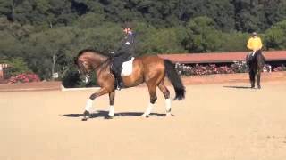 Silva Martin training Stately . September 2013