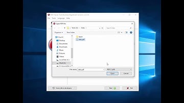 PDF Viewer Tool Manual