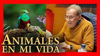 Fernando Sánchez Dragó | La importancia de los animales en mi vida