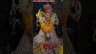 Ramva Aavo Meldi Ramva Aavo🔱#maa #meldi