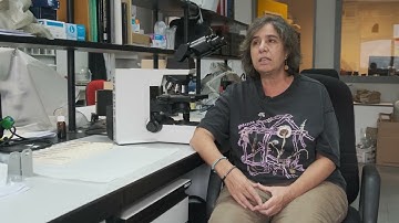 Presentación do proxecto “Fomentando a Biodiversidade: + Recursos Apícolas en Entornos Forestais”