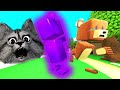 ENFEKTE EBELEMECE OYUNU | Super Bear Adventure CANLI