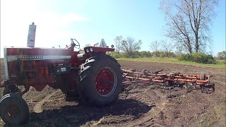 Puppy’s, Decals, broadcast seeding Oats, and cultivating them in with the IH 856.