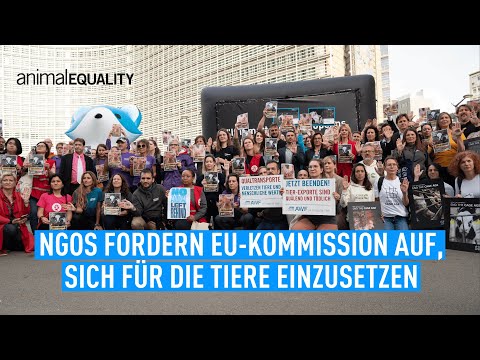 Tierschutzorganisationen fordern versprochene Revision der EU-Tierschutzgesetzgebung