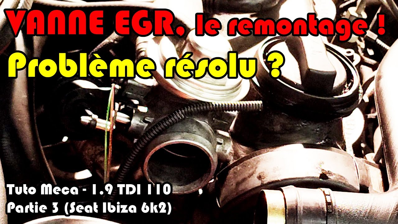 Nettoyage EGR, suffisant pour réparer la coupure turbo du 1.9 tdi 110 cv ?