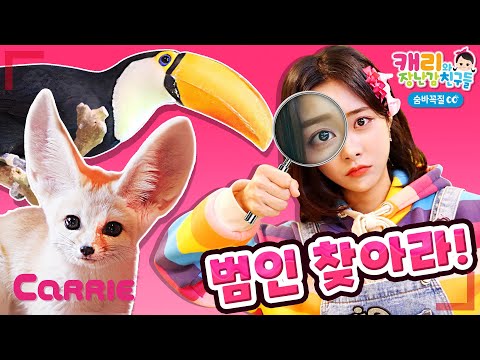 캐리의 간식을 훔친 수수께끼 범인찾기 | 숨바꼭질 | 캐리와장난감친구들