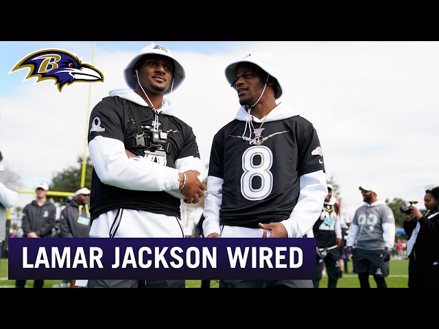 Lamar Jackson Named Pro Bowl Offensive MVP